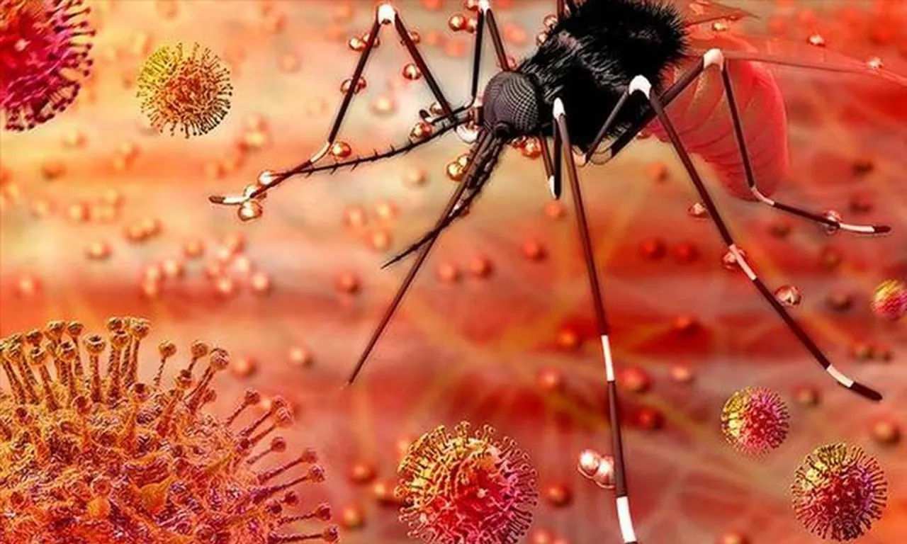 আরও একজনের দেহে মিলল জিকা ভাইরাস, বাড়ছে উদ্বেগ