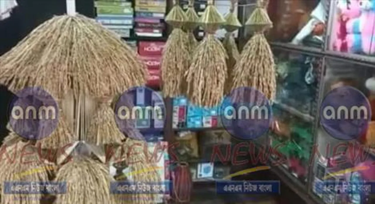 ধানের শীষে অসাধারণ শিল্প জঙ্গলমহলের বাউল শিল্পীর