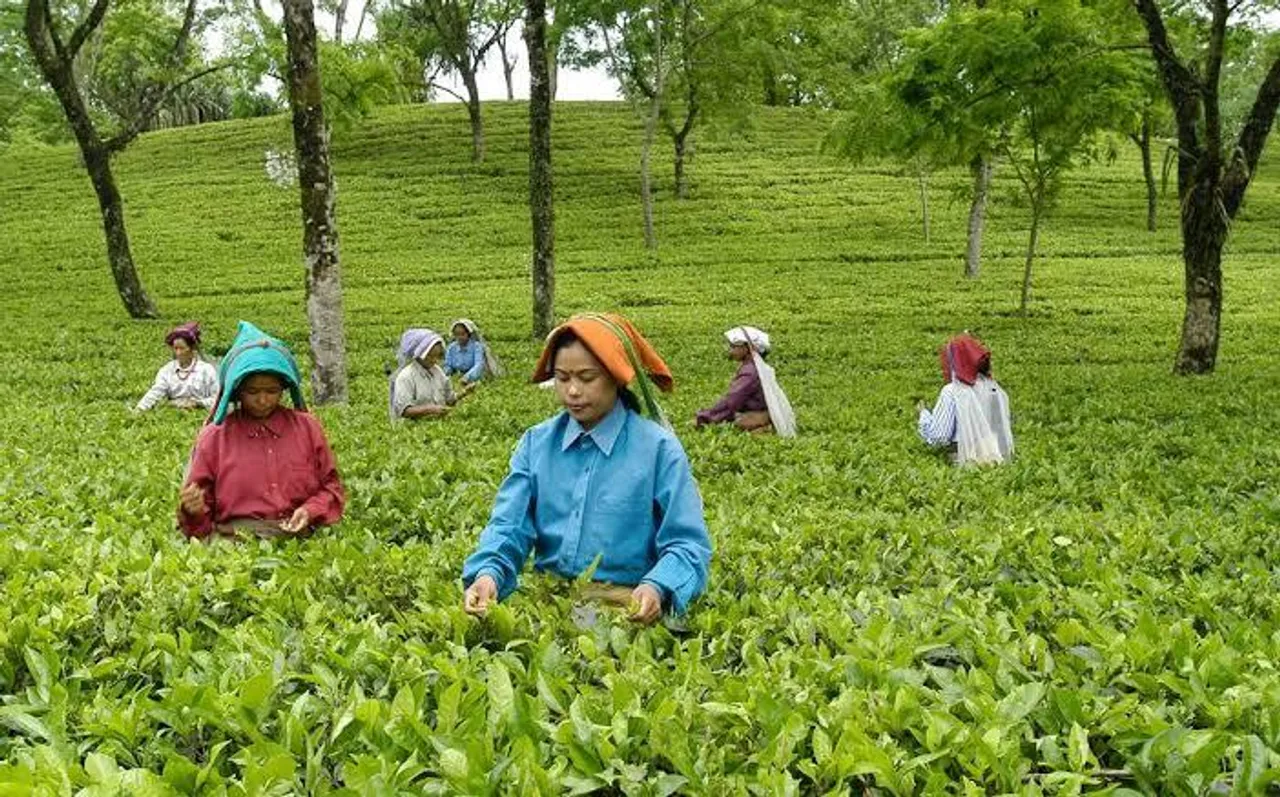 আজাদি কা অমৃত মহোৎসব পালন করল শ্রমিকরা