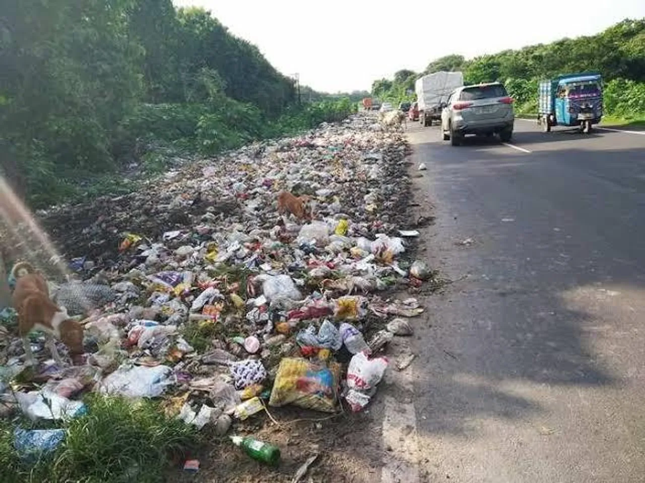 উত্তর দিনাজপুরের চোপড়াতে আবর্জনার স্তূপ ঘিরে চাঞ্চল্য