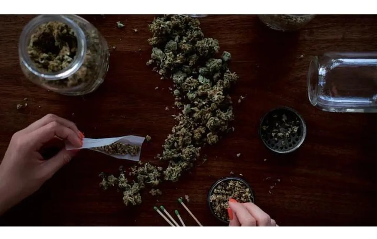 থাইল্যান্ড এশিয়ার প্রথম দেশ যারা গাঁজাকে অপরাধমুক্ত করেছে