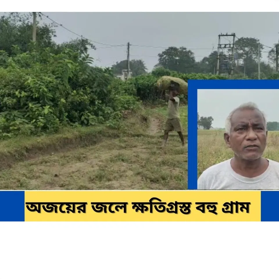 জলের তলায় একাধিক চাষের জমি, মাথায় হাত কৃষকদের