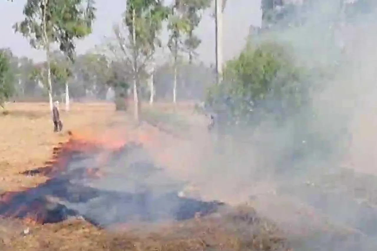 এখনও পাঞ্জাবে খড় পোড়ানো অব্যাহত রয়েছে