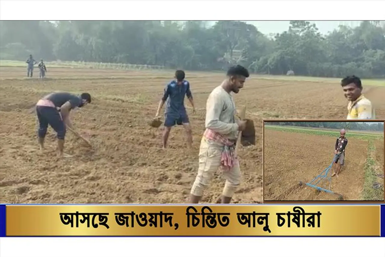 সিঁদুরে মেঘ, মাথায় চিন্তার হাত আলু চাষীদের