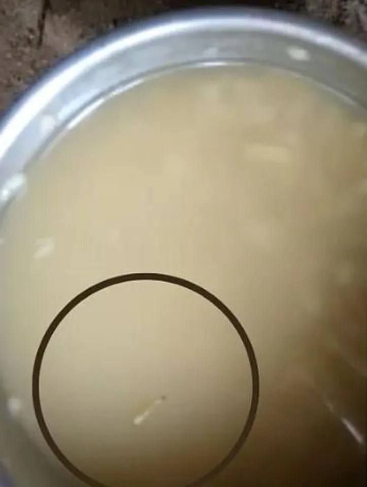 ফের মিড-ডে মিলের খাবারে পোকা