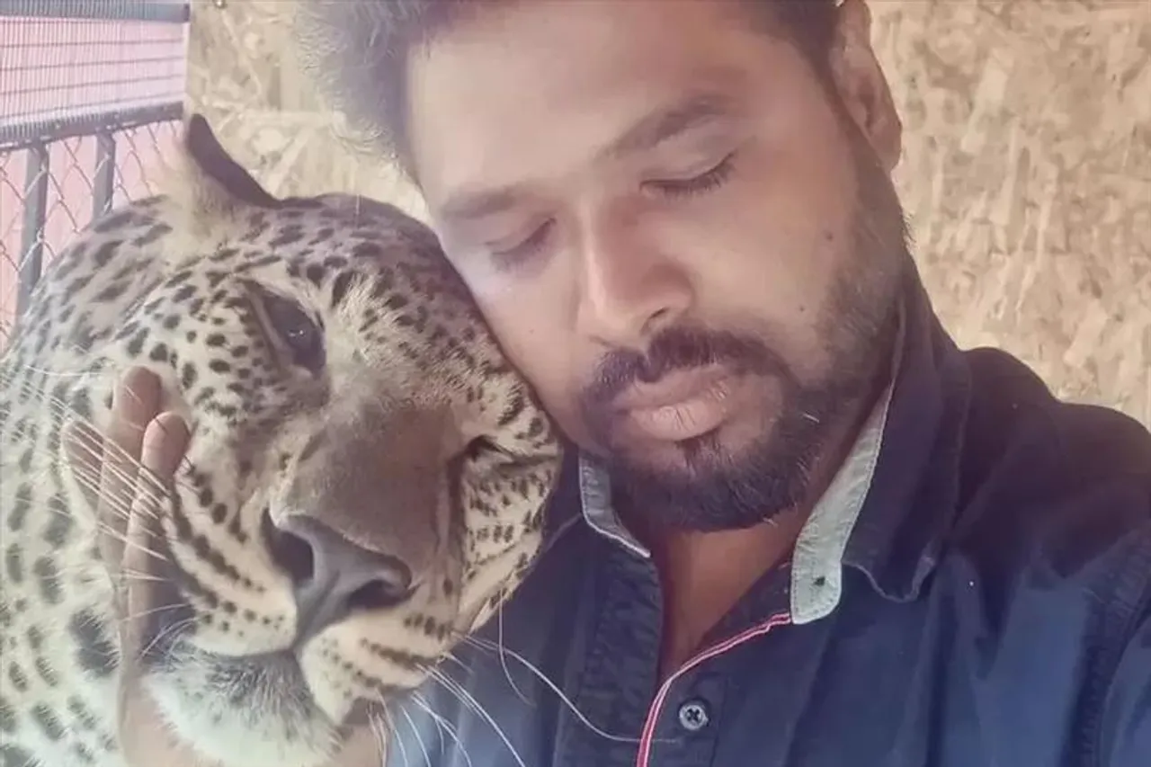 যুদ্ধের কারণে পোষা জাগুয়ারের থেকে এখন আলাদা ভারতীয় ডাক্তার