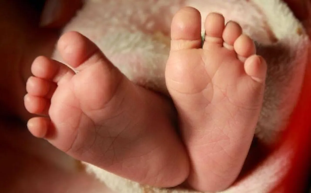 সদ্যোজাত শিশুর দেহ খুবলে খেল কুকুর