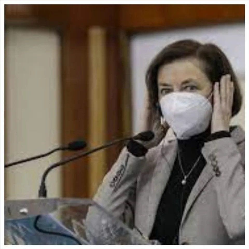 রোমানিয়ায় সৈন্য নিয়ে ফ্রান্স সামরিক সম্পর্ককে কাজে লাগাতে চায়