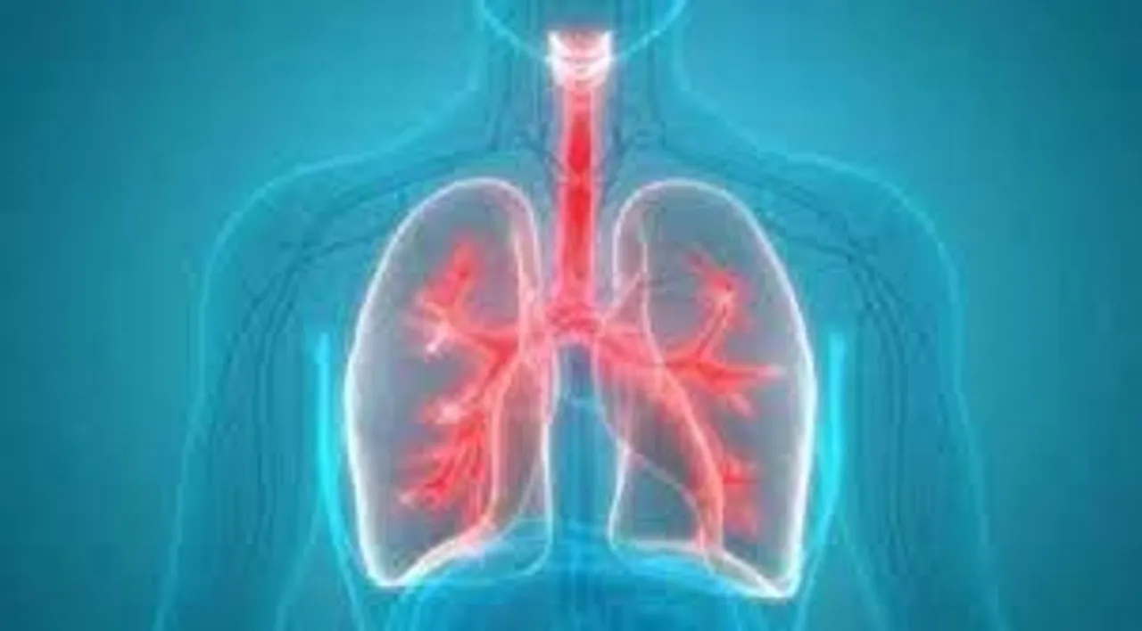 কিভাবে বুঝবেন  বিপদের মুখে আপনার ফুসফুস?