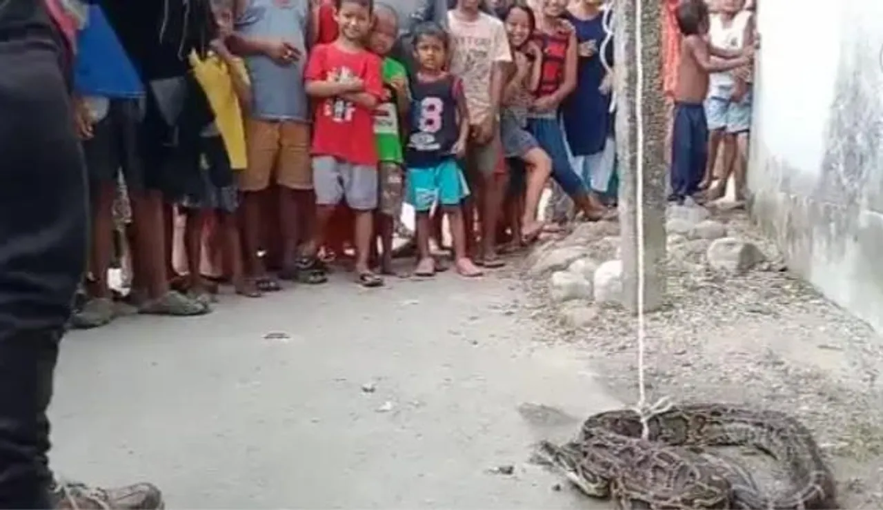 বাগডোগরায় উদ্ধার অজগর