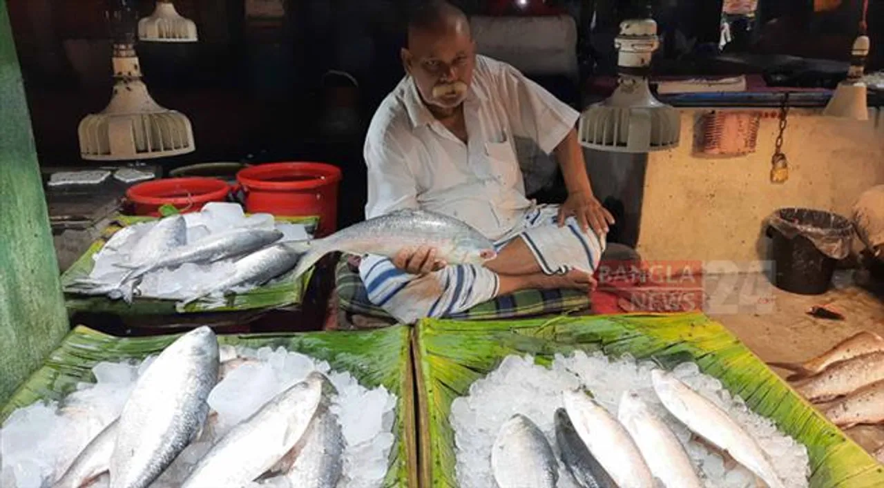 হুড়মুড়িয়ে বাড়ছে ইলিশের দাম
