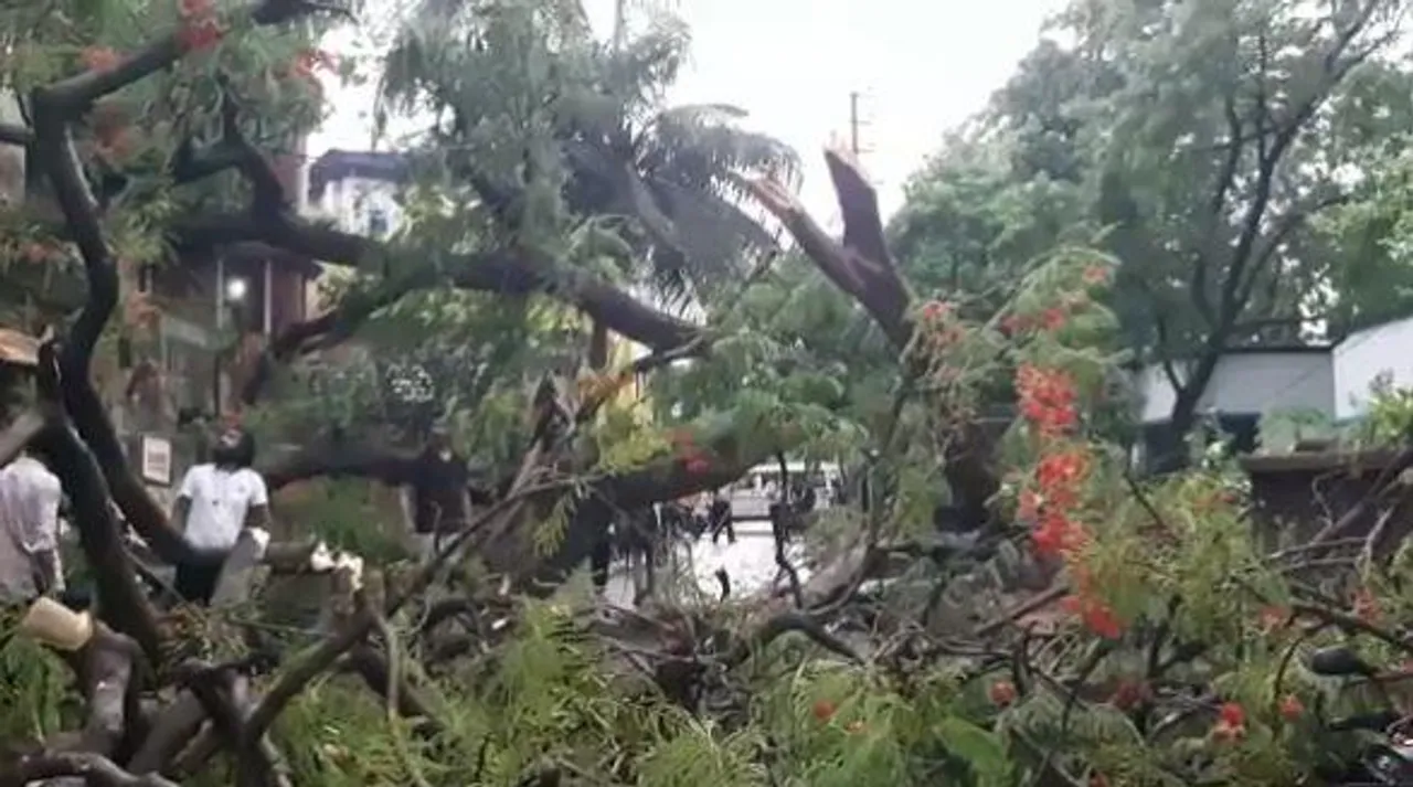 কালবৈশাখীর দাপট