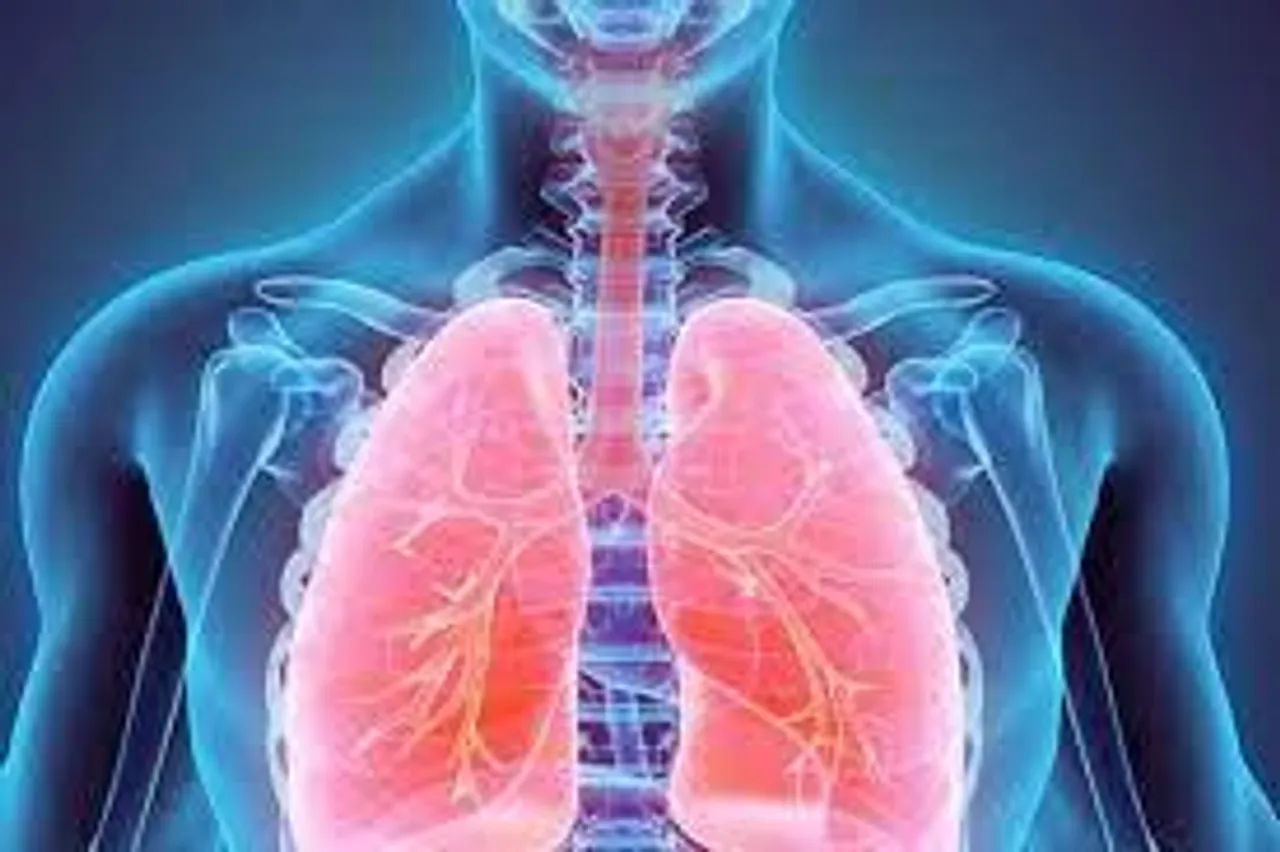 কীভাবে ভাল রাখবেন ফুসফুসকে?