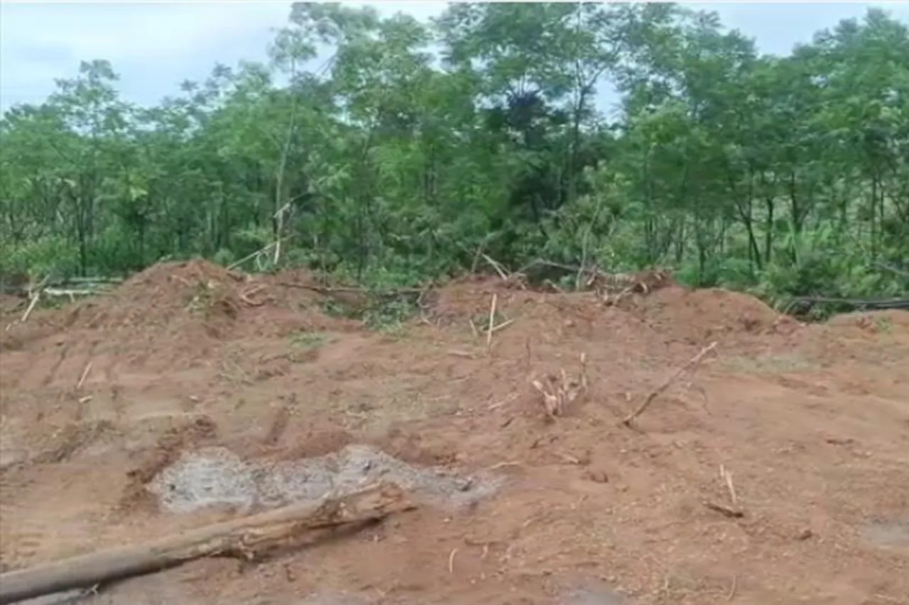 উদ্ধার হল ফাটলে আটকে পড়া ছাগল