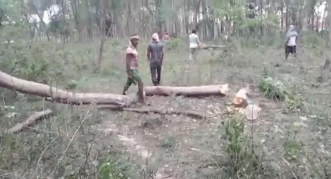 পাচারের উদ্দেশ্যে গাছ কাটার অভিযোগে লাউদোহায় আটক ১