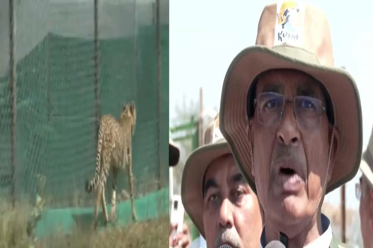 'মহা শিবরাত্রিতে একটি উপহার পেল মধ্যপ্রদেশ', চিতা প্রসঙ্গে বললেন মুখ্যমন্ত্রী