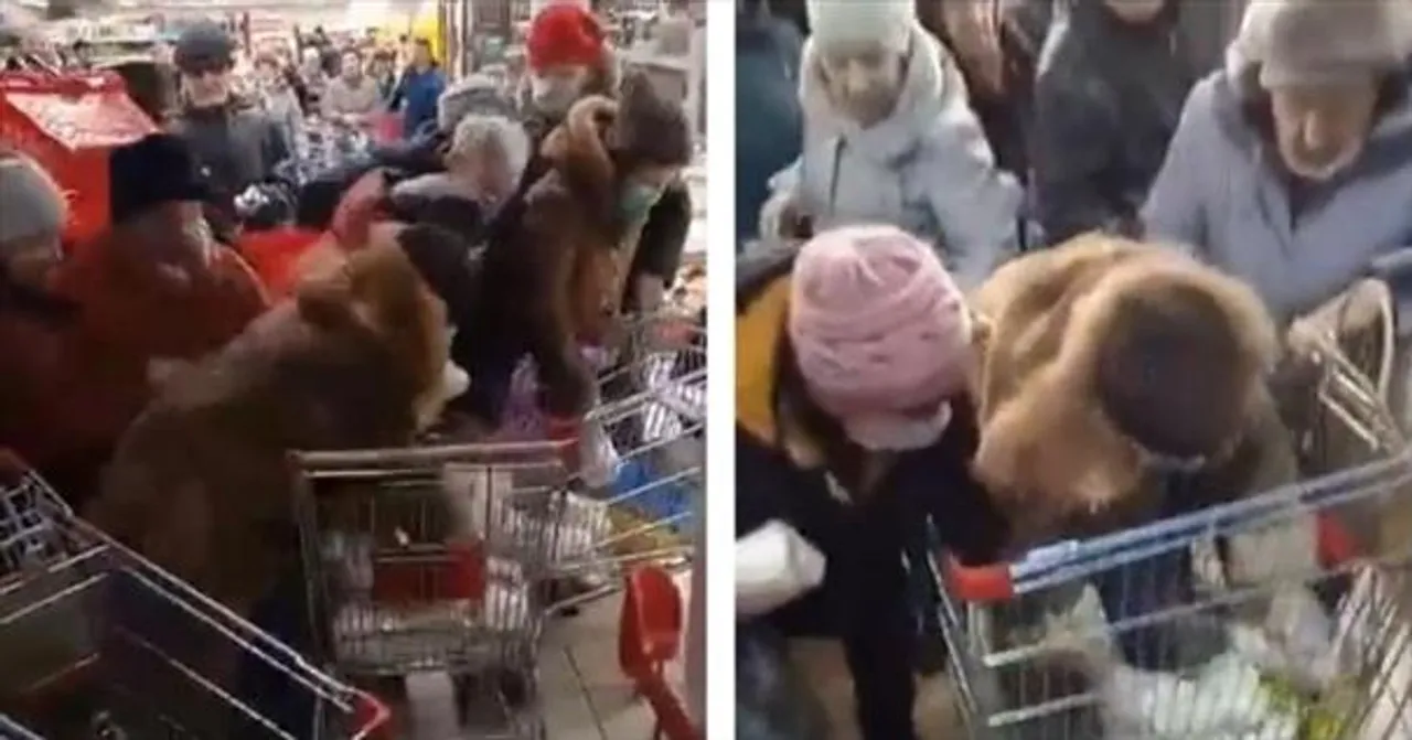 পুতিনের দেশে চিনির জন্য ধ্বস্তাধস্তি মানুষের