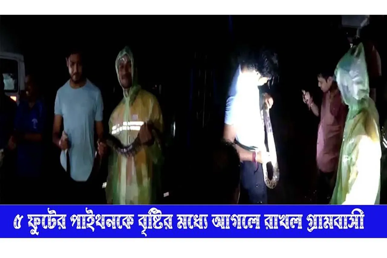 মানবিক, বৃষ্টির মধ্যে ৫ ফুটের অজগরকে আগলে রাখলেন মানুষ ​