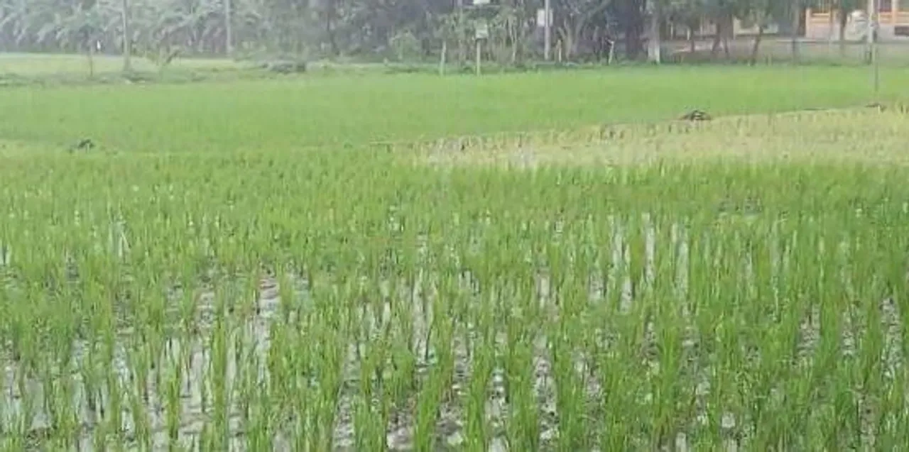 দক্ষিনবঙ্গ জুড়ে নিম্ন চাপের ভ্রুকুটি