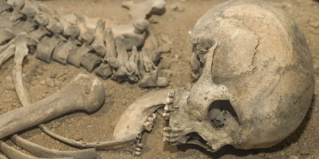 স্ট্র্যান্ড রোডের বাড়িতে কঙ্কাল উদ্ধার