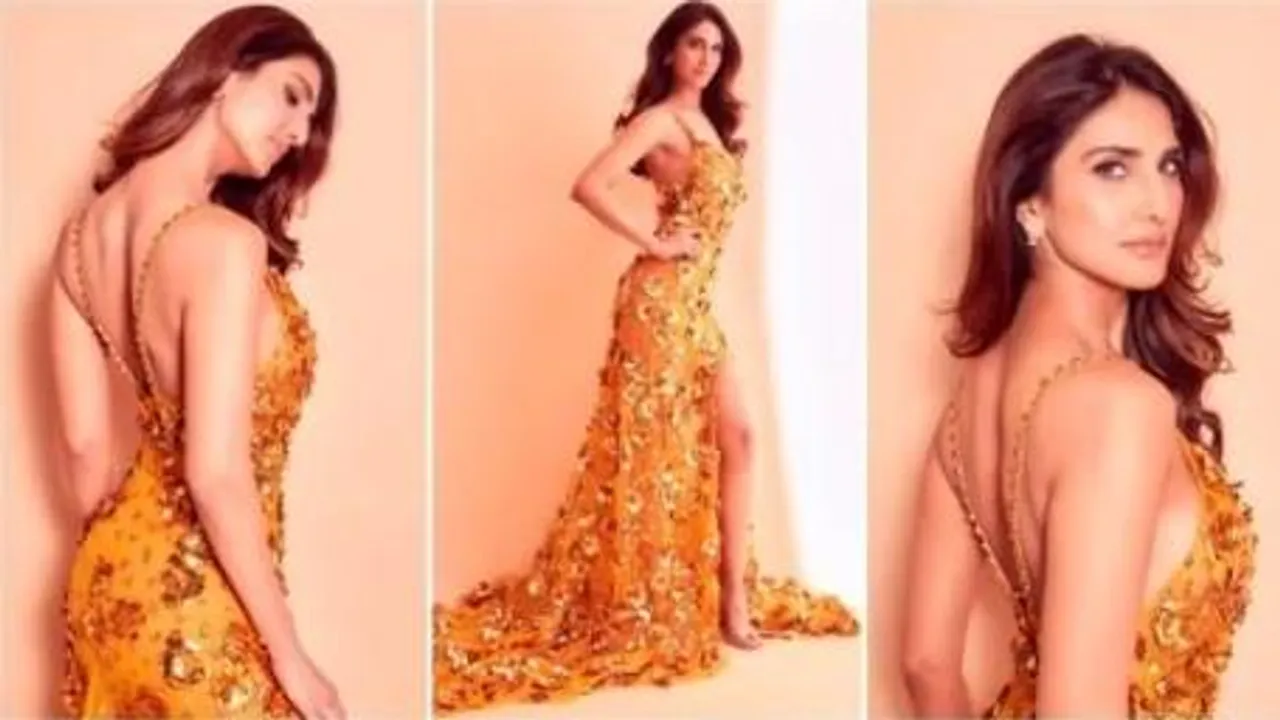 ব্যাকলেস, থাই স্লিটকাট গাউনে দ্যুতি ছড়াচ্ছেন বাণী