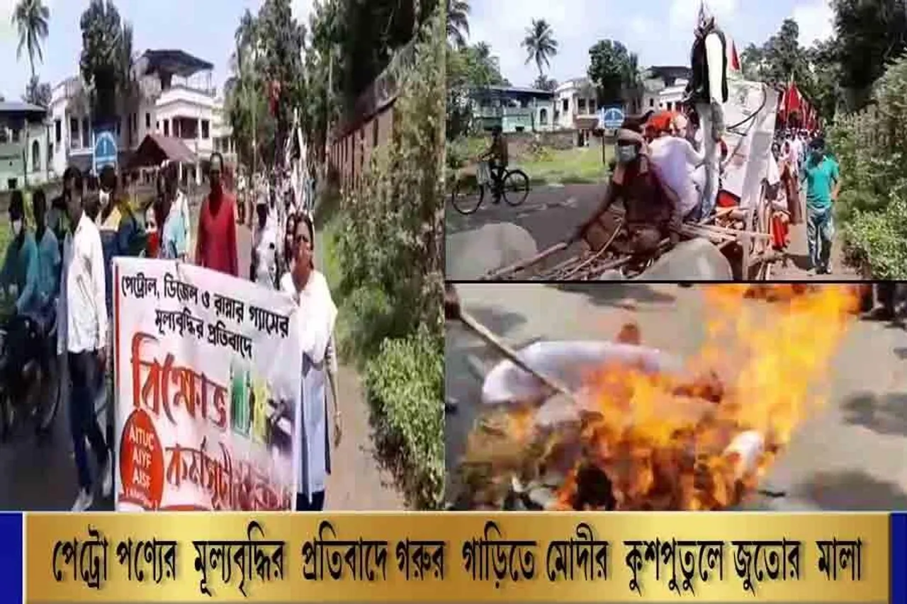 পেট্রো পণ্যের মূল্যবৃদ্ধির প্রতিবাদে গরুর গাড়িতে মোদীর কুশপুতুলে জুতোর মালা