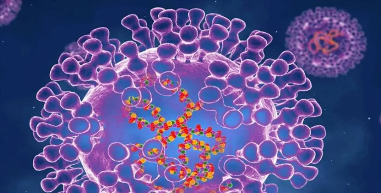 ‘মাঙ্কিপক্স’ মোকাবিলায় ২১ দিনের বাধ্যতামূলক কোয়ারেন্টাইন বিধি জারি করল বেলজিয়াম