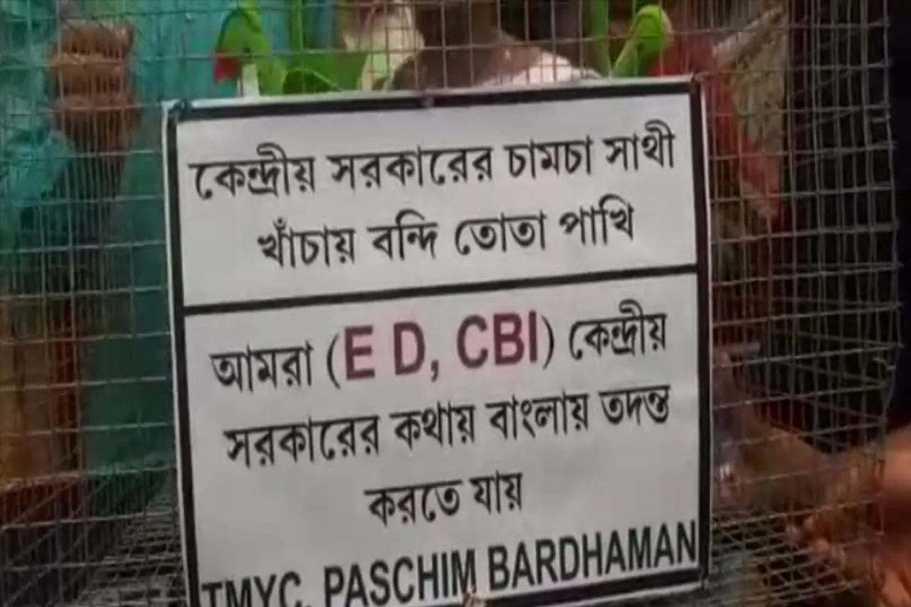 একি কাণ্ড! শহরের রাস্তায় খাঁচা বন্দী ইডি, সিবিআই