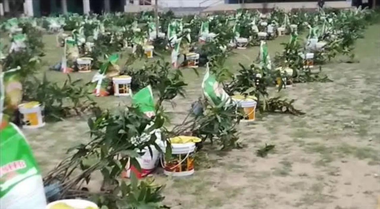 ৪৫০ পরিবারের হাতে চারাগাছ তুলে দেওয়া হল বিভীষণপুর অঞ্চলে!