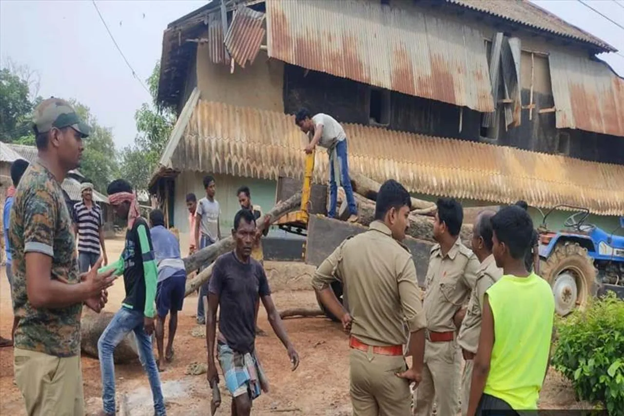 বিনা অনুমতিতে গাছ কেটে মজুত, বাজেয়াপ্ত করল বন দফতর