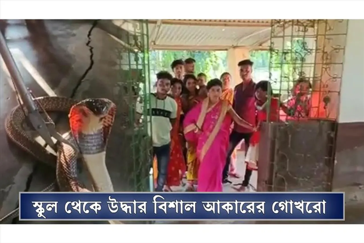 ক্লাসঘর থেকে উদ্ধার ৯ ফুটের গোখরা