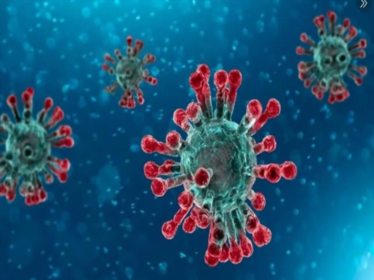 দিল্লিতে কমল করোনা আক্রান্তের সংখ্যা, গত ২৪ ঘণ্টায় আক্রান্ত ৩৭৭