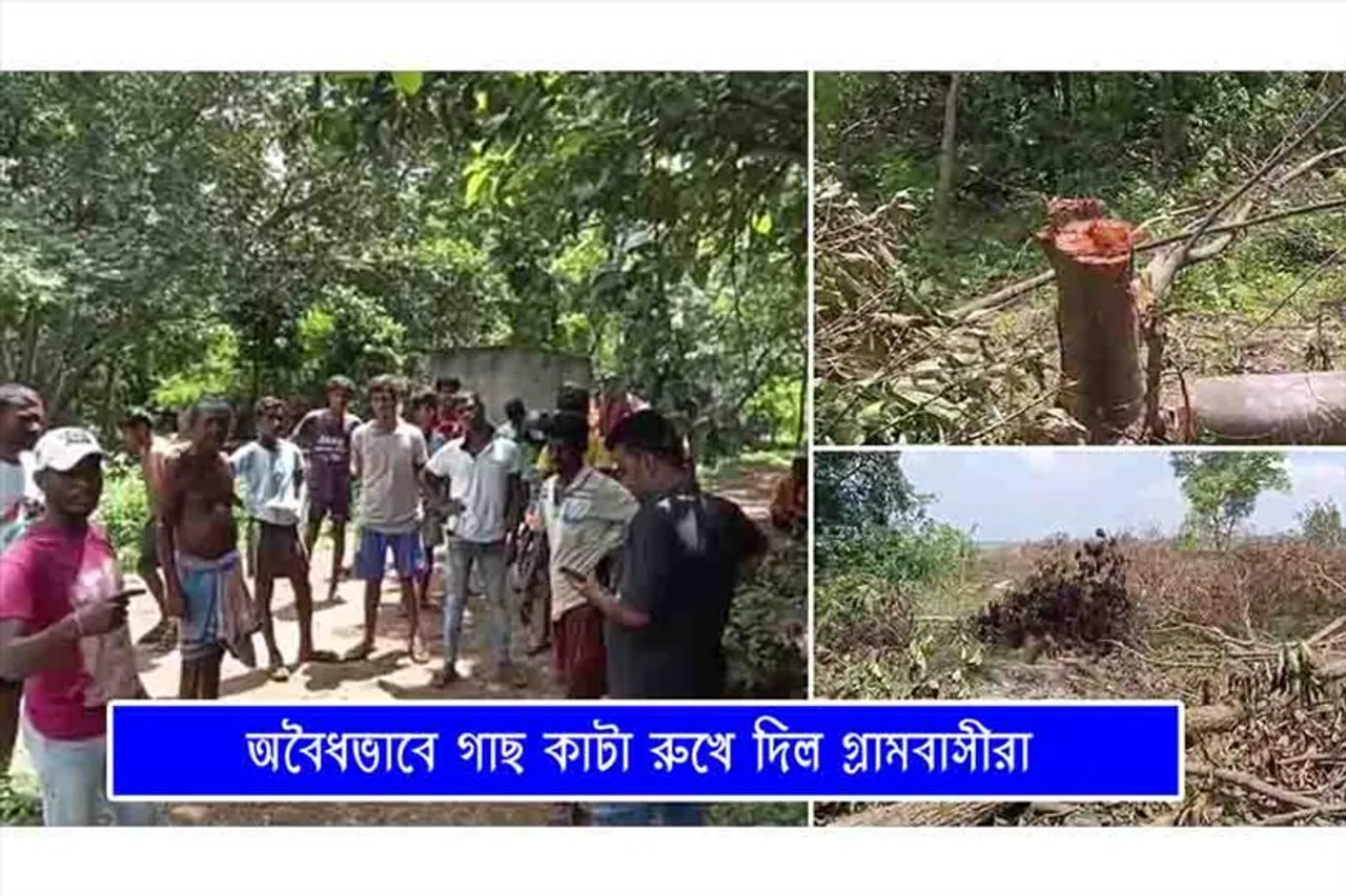 অবৈধভাবে গাছ কাটা রুখে দিল গ্রামবাসীরা