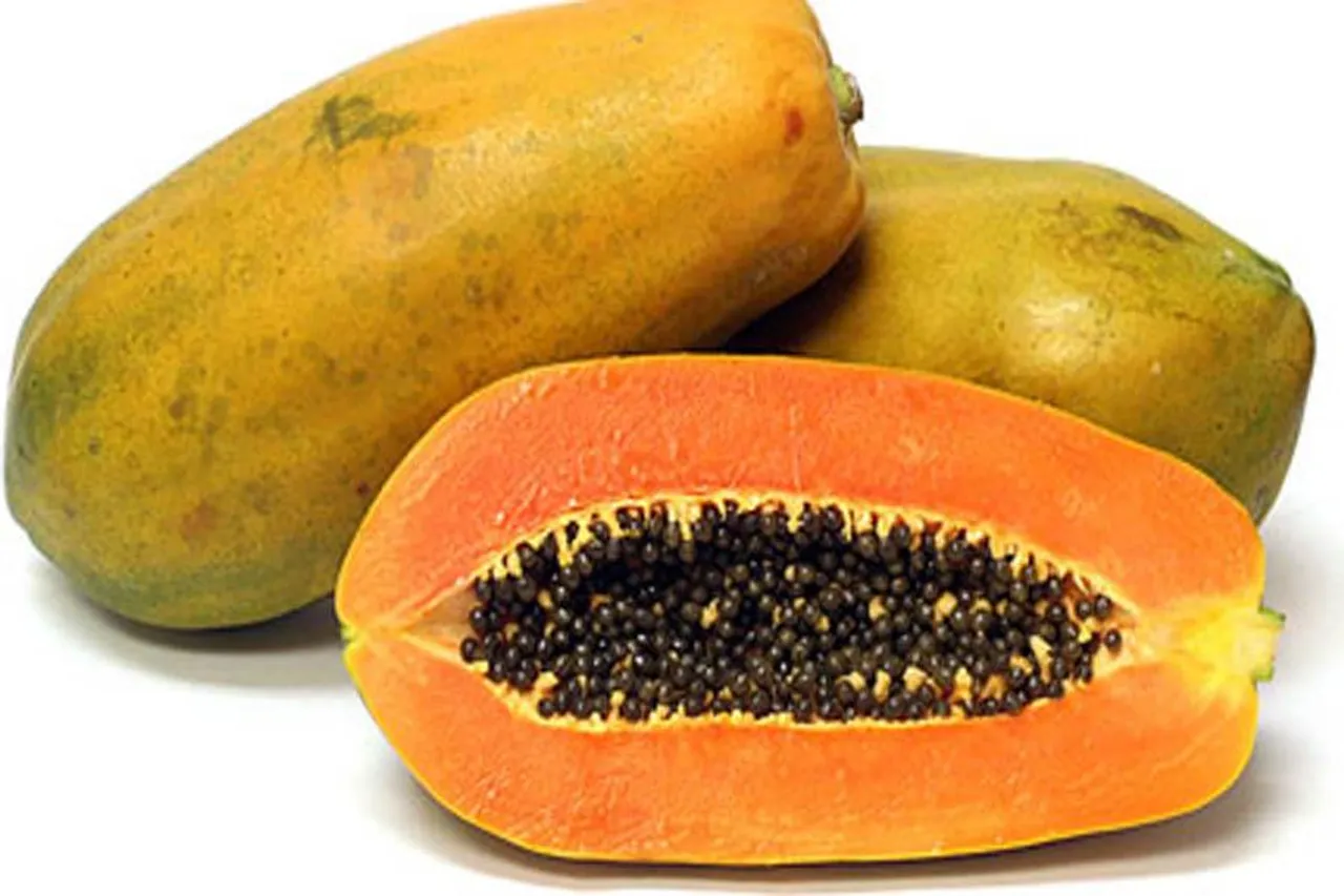 সহজে চাষ করুন পেঁপে