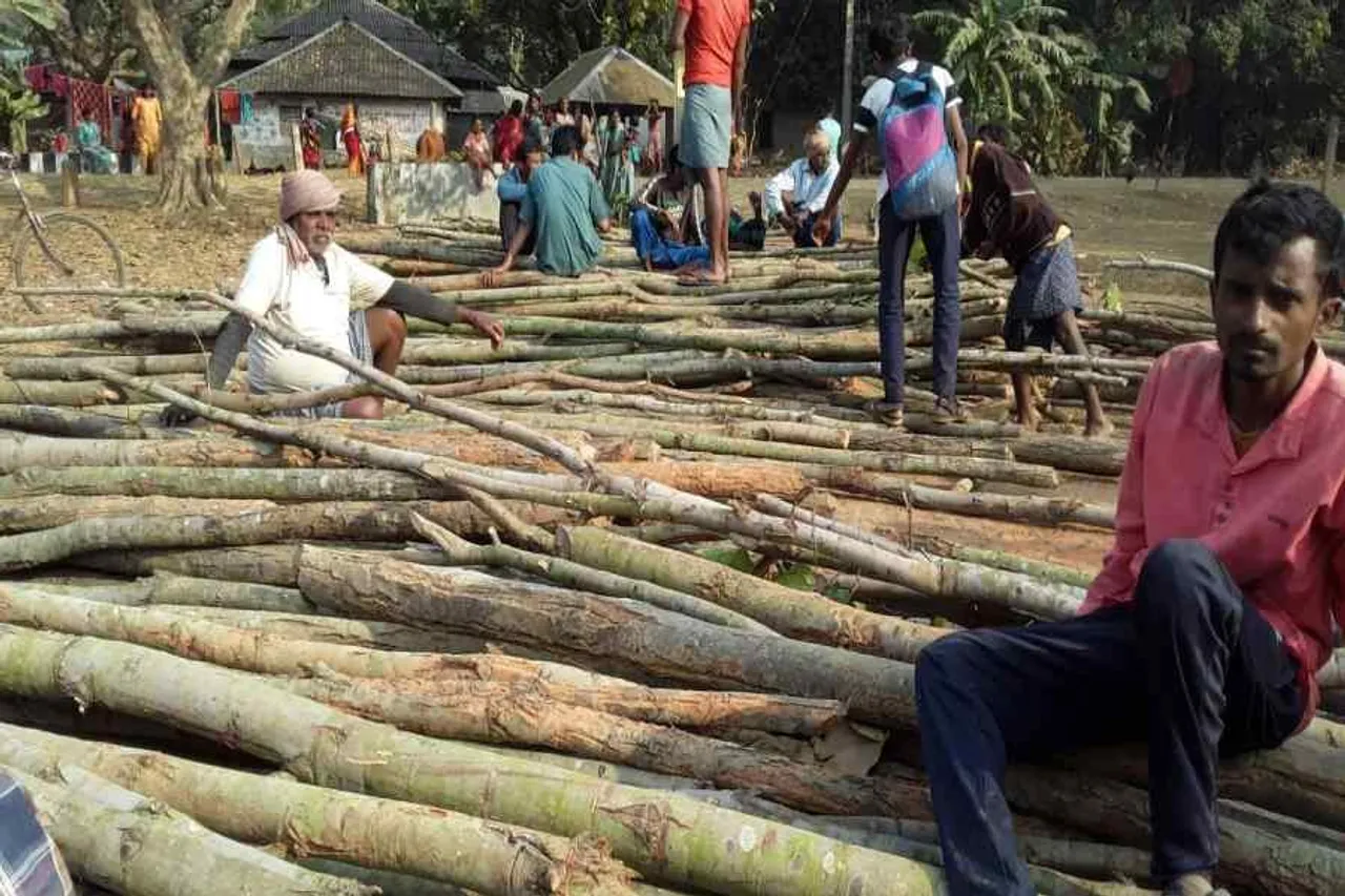 বেআইনিভাবে বাড়িতে মজুত করা কাটা গাছ বাজেয়াপ্ত করল বনদপ্তর ও বন সুরক্ষা কমিটি