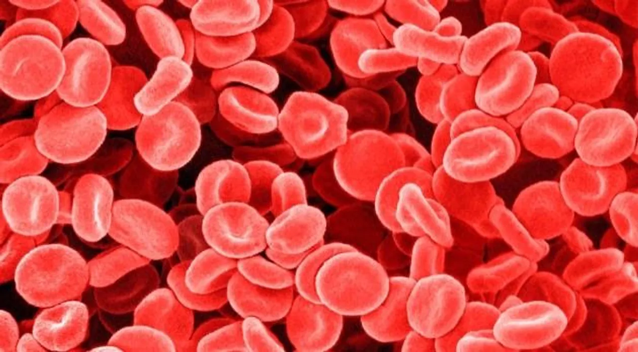 খনিজ পদার্থ ক্ষতিগ্রস্ত টিস্যু নিরাময়ের চাবিকাঠি