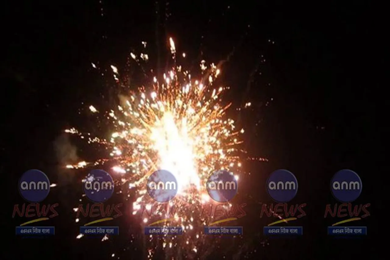 বাজি পোড়ানো যাবে না, নির্দেশ হাইকোর্টের