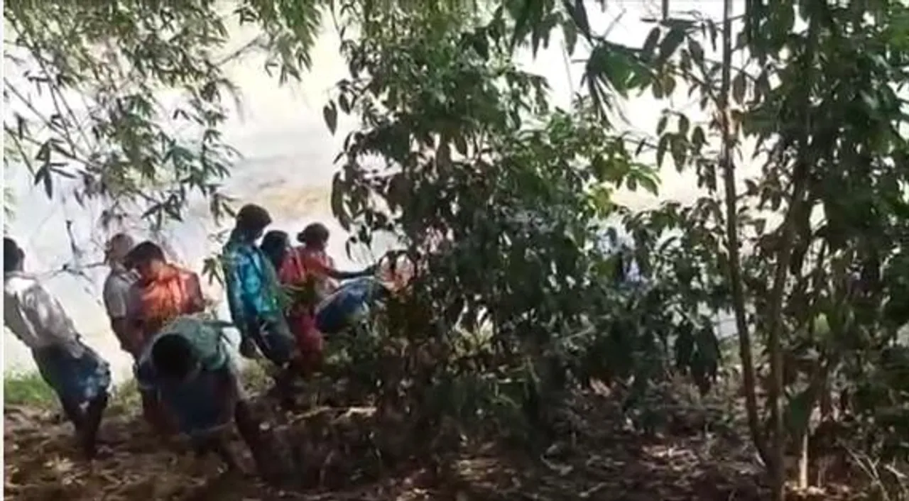 ভাঙন ঠেকাতে 'ভেটিভার ঘাস' লাগানোর উদ্যোগ ব্লক প্রশাসনের