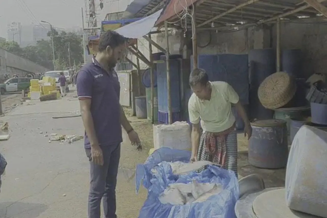 ইলিশ ধরার উৎসবে মেতে উঠেছেন মৎস্যজীবীরা