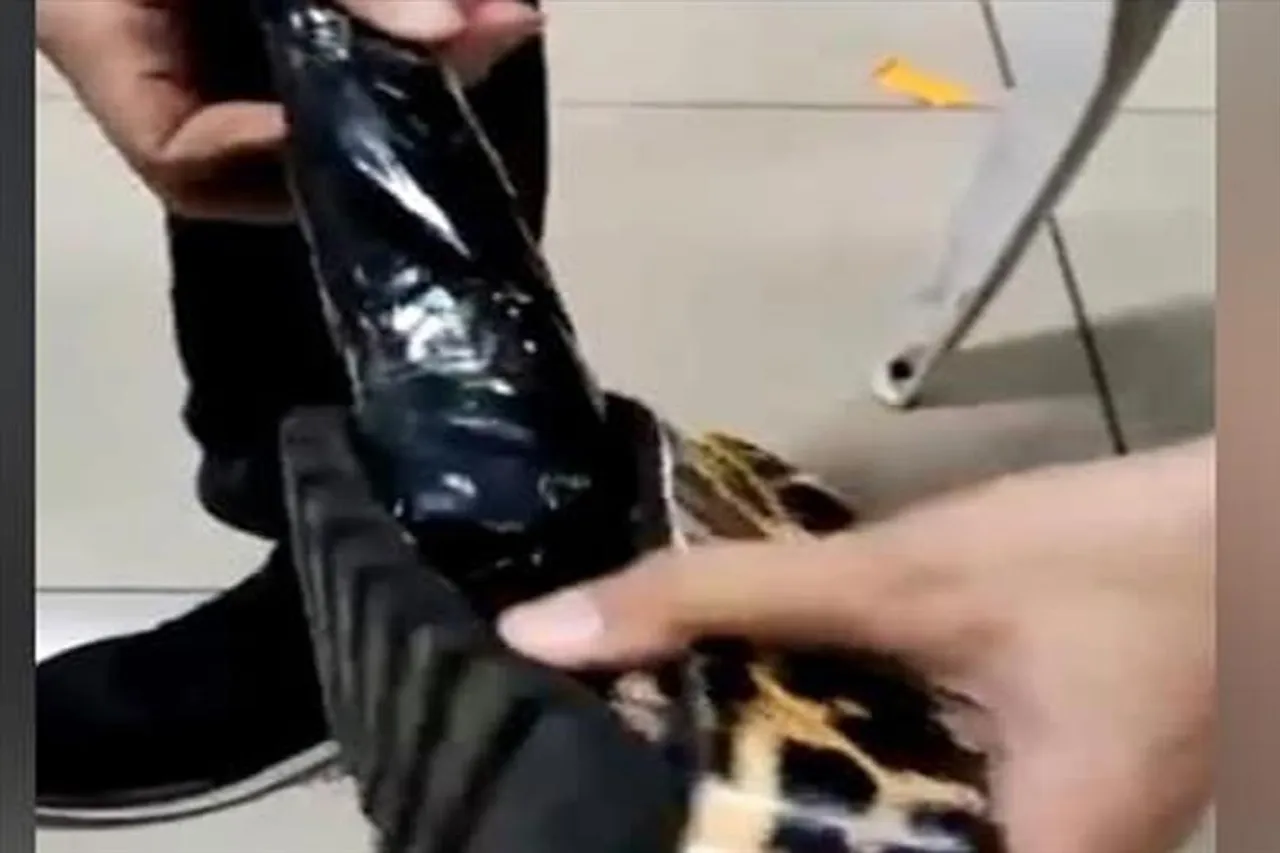 স্যান্ডেলে লুকিয়ে কোকেন পাচারের চেষ্টা বিফল করলো শুল্ক বিভাগ