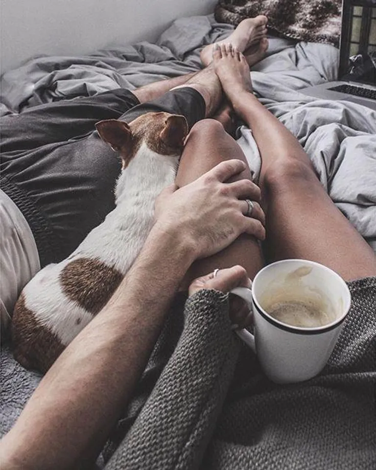 গরম হন ভোরের আদরে