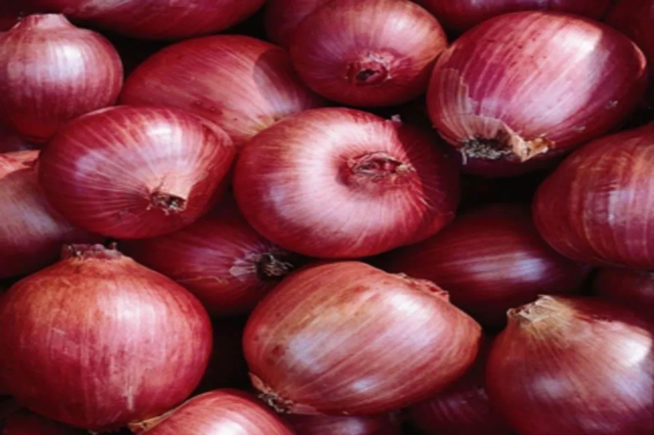 ফলন বাড়াতে পেঁয়াজ চাষের সহজ পদ্ধতি