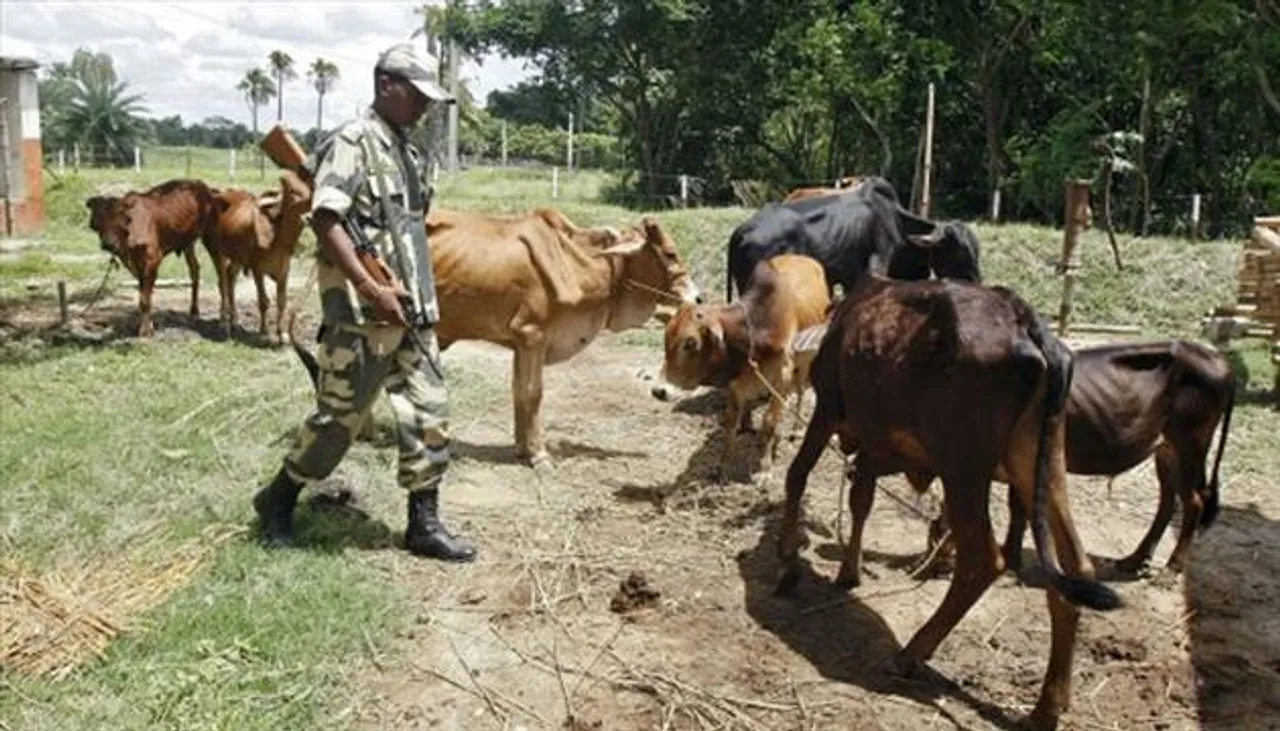 বিএসএফের গুলিতে মৃত্যু হল এক বাংলাদেশি গরু পাচারকারীর
