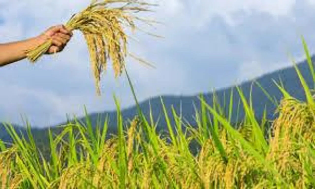 রাজ্য খাদ্য দফতরে কর্মী নিয়োগ