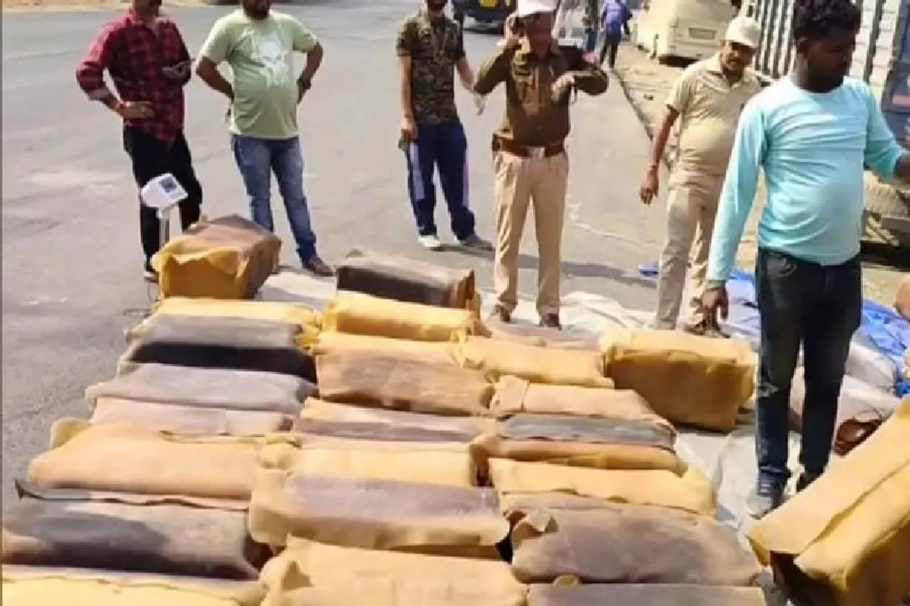 এক কোটি টাকার বেশি আর্থিক মূল্যের গাঁজা উদ্ধার আসাম পুলিশের