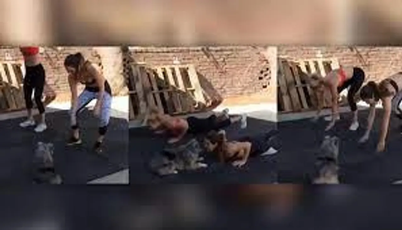 শরীরচর্চায় মেতেছে পোষ্য, দেখুন সেই মজার ভিডিও