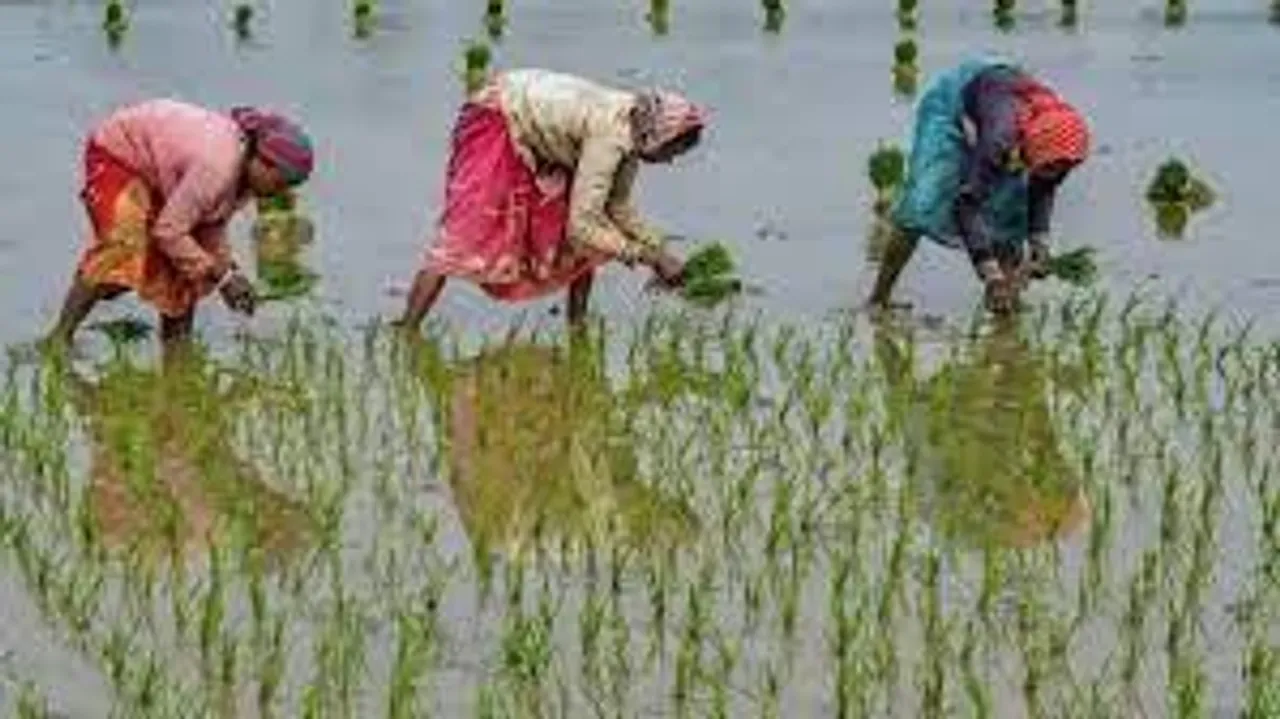 ASRB Recruitment 2021:  ৩ অক্টোবর পরীক্ষা, আবেদন করুন এখনই