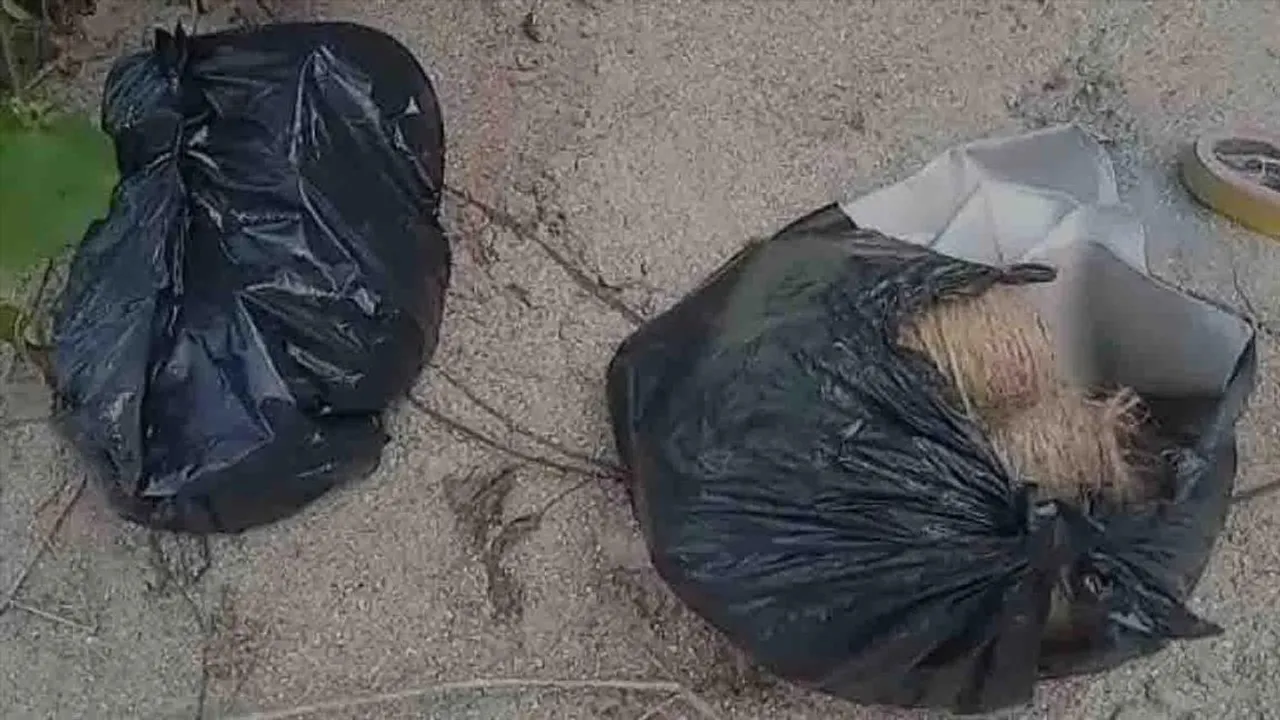 হদিশ  মিলল বোমা বিক্রির চক্রের