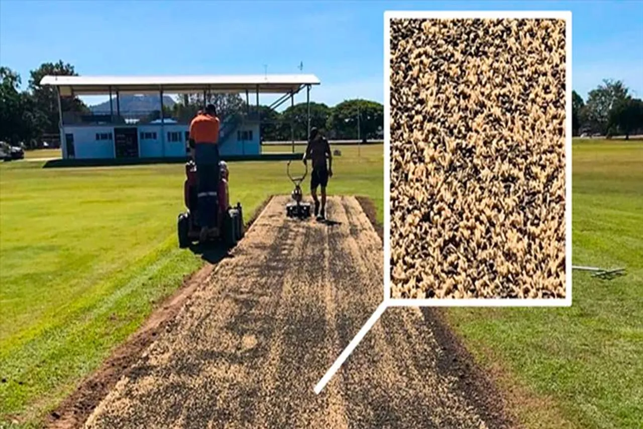 ছেলেদের ক্রিকেটেও হাইব্রিড পিচ