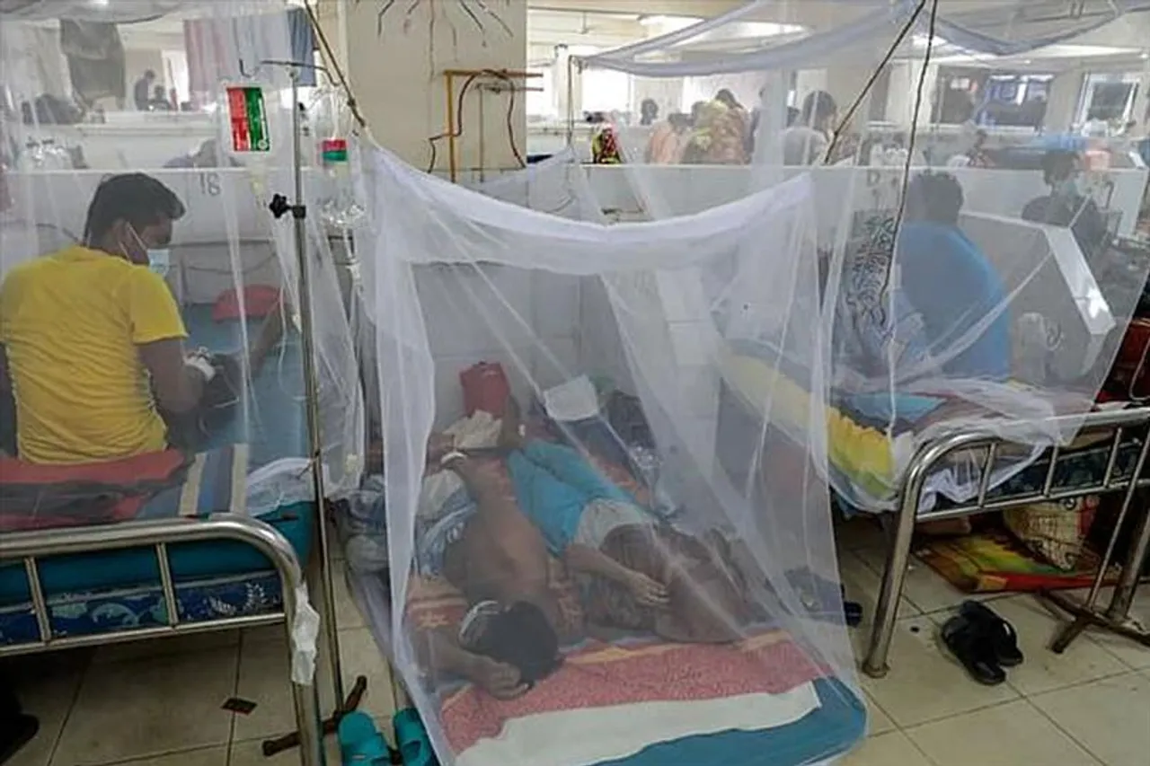 কলকাতায় ৪টি ওয়ার্ডে ডেঙ্গুর পরিস্থিতি উদ্বেগজনক